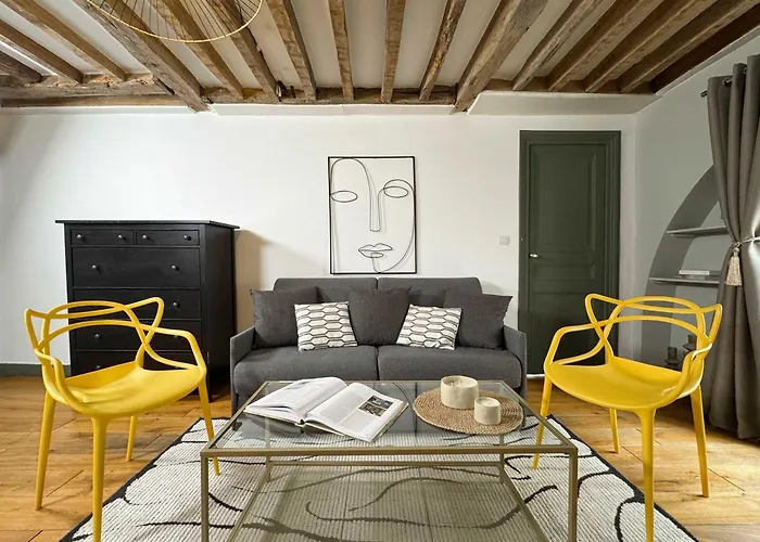 Unique Authentic Apartment In Le Marais